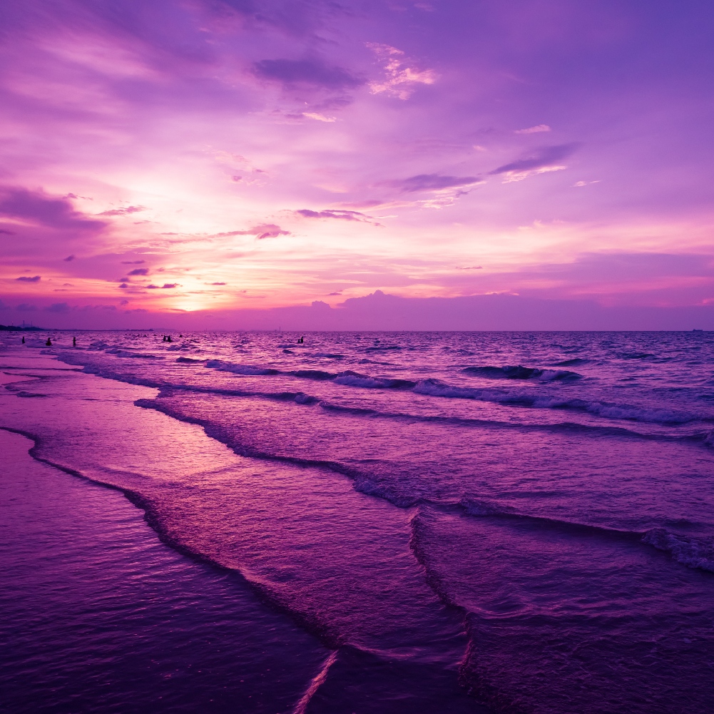 soothing violet sunset at the beach